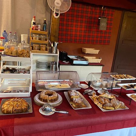 B&B Villa Regina Pisa Dış mekan fotoğraf