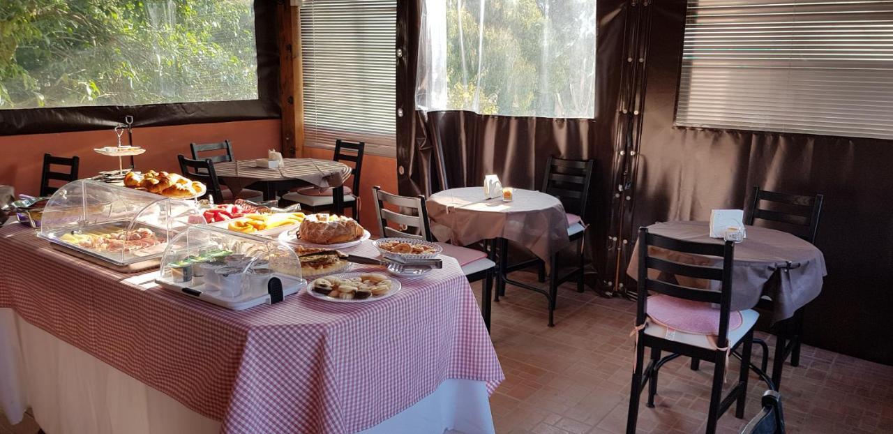 B&B Villa Regina Pisa Dış mekan fotoğraf